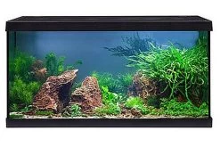 EHEIM Aquastar 54 LED Schwarz - Aquarienset -Fischbedarf Laden 0340645 EHEIM aquastar 54 LED schwarz 05