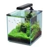 Aquatlantis Aquarienset Nano Cubic 30 LED, Schwarz -Fischbedarf Laden 16a08882 Aquatlantis Nano Cubic 30 schwarz