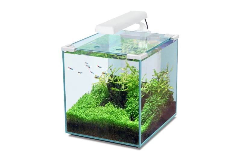 Aquatlantis Aquarienset Nano Cubic 30 LED, Weiß 3 Aquatlantis Aquarienset Nano Cubic 30 LED, Weiß