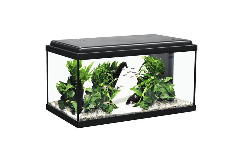 Aquatlantis Aquarienset Advance 60 LED, Schwarz 3 Aquatlantis Aquarienset Advance 60 LED, Schwarz