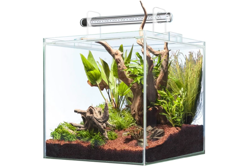 Sera Scaper Cube 64 Liter - Starterset 4 Sera Scaper Cube 64 Liter - Starterset – Bild 2