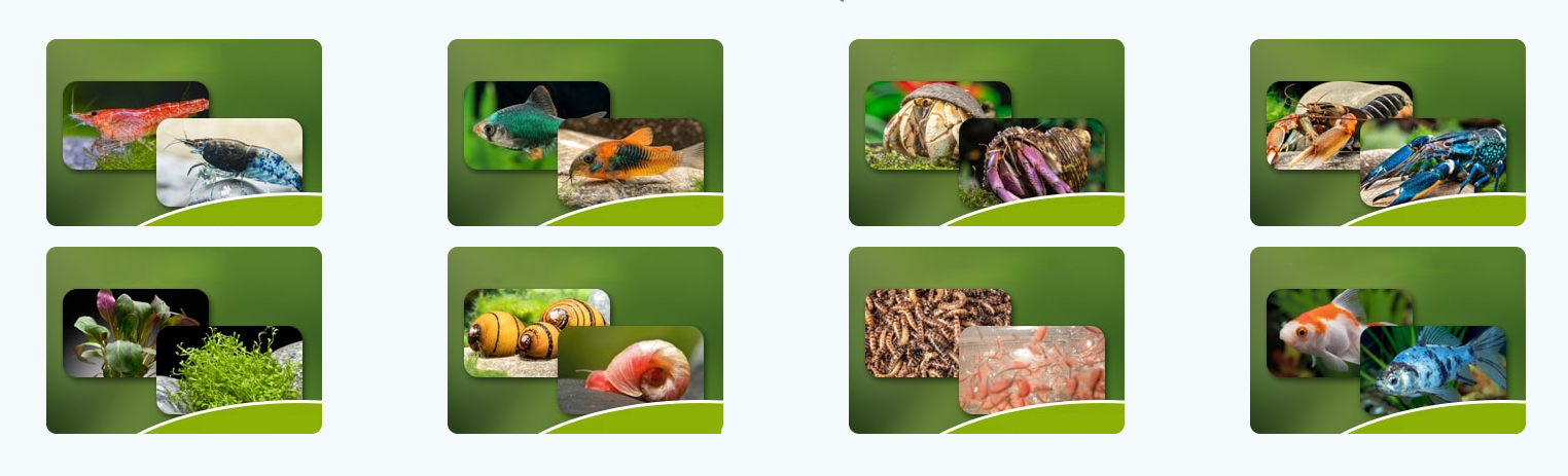 Fischbedarf Laden 3 Fischbedarf Laden -Fischbedarf Laden 7QPYTNN55@CNWOPMAR