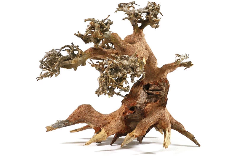 Aquadeco Aqua-Bonsai S, 15-20 Cm 3 Aquadeco Aqua-Bonsai S, 15-20 Cm