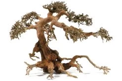 Aquadeco Aqua-Bonsai S, 15-20 Cm 7 Aquadeco Aqua-Bonsai S, 15-20 Cm -Fischbedarf Laden Aquadeco Aqua Bonsai 3 1