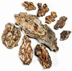 Aquadeco Drachenstein Dekoset Für 60 Cm Aquarium -Fischbedarf Laden Aquadeco Drachenstein 60 P 1