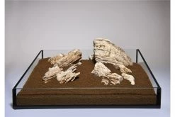 Aquadeco Helle Pagode Dekoset Für 120 Cm Aquarium -Fischbedarf Laden Aquadeco Helle Pagode 1 2