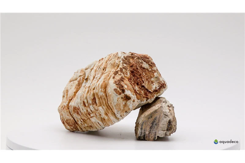 Aquadeco Helle Pagode Dekoset Für 80 Cm Aquarium 4 Aquadeco Helle Pagode Dekoset Für 80 Cm Aquarium – Bild 2