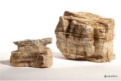 Aquadeco Helle Pagode Dekoset Für 80 Cm Aquarium 11 Aquadeco Helle Pagode Dekoset Für 80 Cm Aquarium -Fischbedarf Laden Aquadeco Helle Pagode 4 1