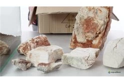 Aquadeco Helle Pagode Dekoset Für 80 Cm Aquarium