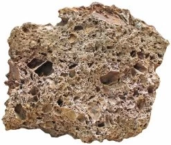 Aquadeco Versteinertes Laub Dekoset Für 100 Cm Aquarium -Fischbedarf Laden Aquadeco Versteinertes Laub 1