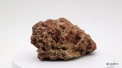 Aquadeco Versteinertes Laub Dekoset Für 100 Cm Aquarium -Fischbedarf Laden Aquadeco Versteinertes Laub 2 1