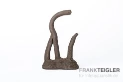 Aquariumkeramik Garnelenhydra Schwarz