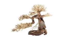 Dupla Bonsai L, Handgemachte Aquariendeko -Fischbedarf Laden Dupla Bonsai L 3