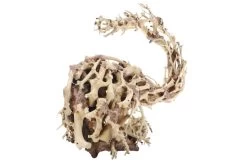 Dupla Wizard Root M, Handgemachte Aquariendeko -Fischbedarf Laden Dupla Wizard Root M 3