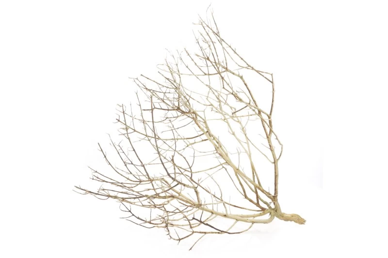 Hobby Desert Bush M, Ca. 30-45 Cm 3 Hobby Desert Bush M, Ca. 30-45 Cm