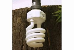 JBL ReptilJungle Daylight, ESL, 24 W -Fischbedarf Laden JBL Reptil Daylight 24W