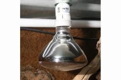 JBL UV-Spot Plus, Für Licht, Wärme, UV, 100W -Fischbedarf Laden JBL UV Spot plus 3