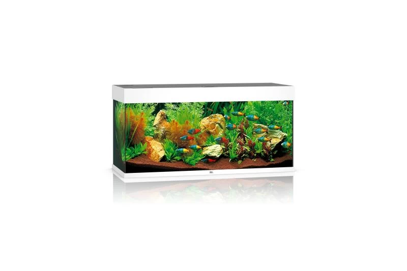 Juwel Rio Aquarium 180 LED, Weiß 2 Juwel Rio Aquarium 180 LED, Weiß