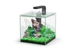Aquatlantis Kubus 10 L LED Aquarienset