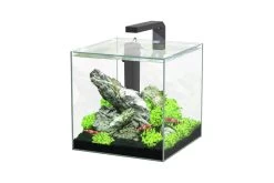 Aquatlantis Kubus 15 L LED Aquarienset