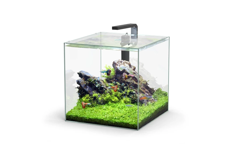 Aquatlantis Kubus 54 L LED Aquarienset 3 Aquatlantis Kubus 54 L LED Aquarienset