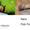 Nano Putz-Truppe: 4x Geweihschnecke + 5x Turmdeckelschnecke -Fischbedarf Laden Nano Putz Truppe 4 x Geweihschnecke 5 x Turmdeckelschnecke