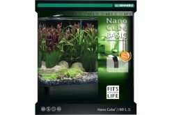 Dennerle Nano Cube Basic 2022 Version