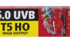 Zoomed ReptiSun 5.0 T5 UVB 39W