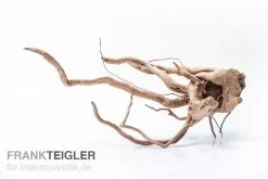 Stoffels Spiderwood Mittel, Ca. 25-40 Cm