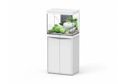 Aquatlantis Splendid 110 Weiß Kombi, 60x40 Cm