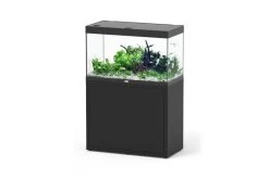 Aquatlantis Sublime 245 Piano Schwarz Kombi 40mm, 100x50 Cm