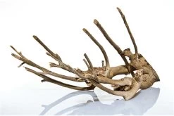 Aquadeco Talawa Holz, 50-70 Cm -Fischbedarf Laden Talawa Holz 3 1