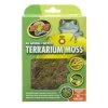 Zoomed Terrarium Moss M -Fischbedarf Laden Terrarium Moss M