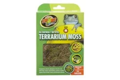 Zoomed Terrarium Moss M