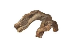 Hobby Weinrebenwurzel Jumbo, Ca. 50-70 Cm -Fischbedarf Laden orinocodeco weinrebe groesse s 20 30 cm 2 1