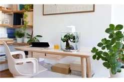 Aquael Shrimp Set Day&Night, 30 Liter Weiss -Fischbedarf Laden shrimp set day night 4